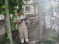 IMG_6596.jpg - 2009:09:05 10:03:13