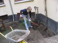 IMG_6602.jpg - 2009:09:05 10:03:48