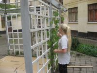 IMG_6659.jpg - 2009:09:06 10:25:47